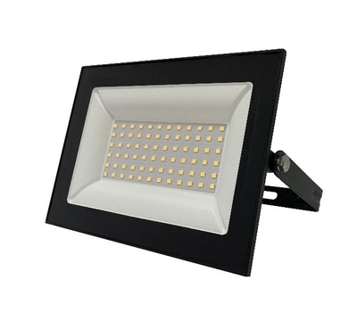Foton Fl-led Light-PAD 100W