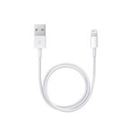  Apple Lightning 8pin MD819ZM/A  iPhone 5/5S/6/6S/iPad 2