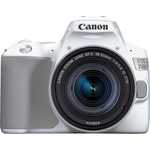   Canon EOS 250D  24.1Mpix Ef-s 18-55mm f/1:4-5.6 IS STM 3" 4K Full HD Sdx